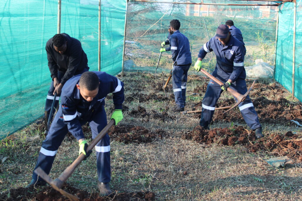 Traxtion plants the seeds of lasting change this Mandela Day IMG 9047 1024x683